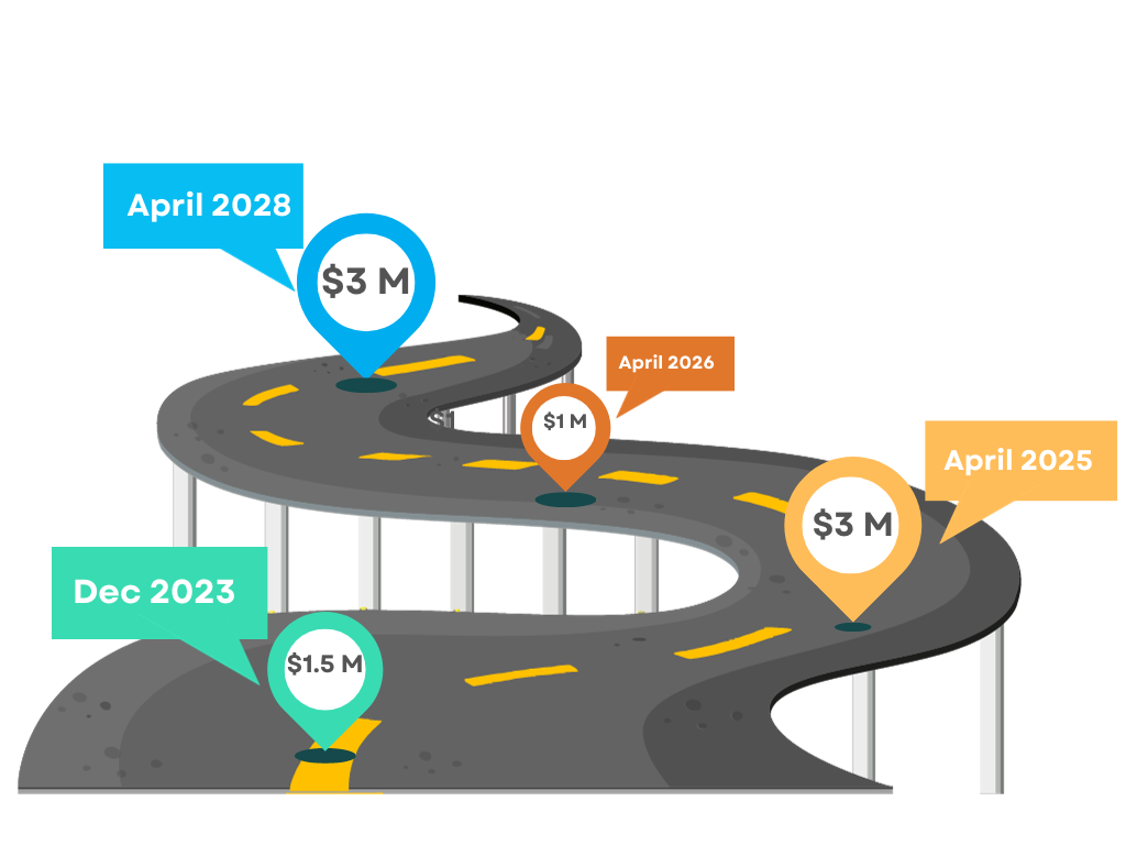 Payment Schedule for the next 5 years.